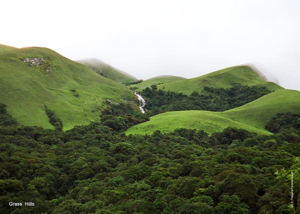 पश्चिमी घाट 